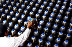 ASAE APREENDE 1.070 LITROS DE AZEITE FALSIFICADO NO VALOR DE 2.500 EUROS