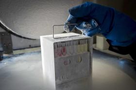 PORTUGUESES DISPOSTOS A PRESERVAR FERTILIDADE POR DOENÇA OU PARA ADIAR PARENTALIDADE