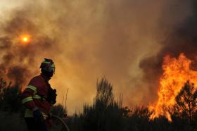 INCÊNDIOS: ÁREA ARDIDA MAIS DO QUE DUPLICOU ESTE ANO – RELATÓRIO
