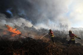 INCÊNDIO EM MANGUALDE CORTA CIRCULAÇÃO NA LINHA DA BEIRA ALTA