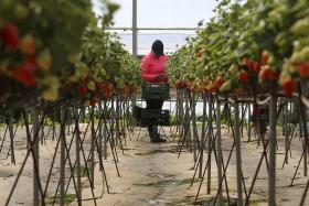 FALTA DE APOIO A PEQUENOS AGRICULTORES ENTRE DIFICULDADES DO PDR – CONFEDERAÇÕES