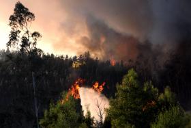 INCÊNDIO NO CONCELHO DE VILA NOVA DE CERVEIRA COMBATIDO POR QUASE 70 BOMBEIROS