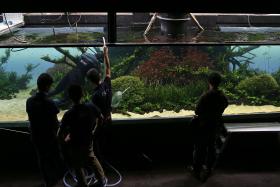 SOCIEDADE FRANCISCO MANUEL DOS SANTOS VENCE CONCESSÃO DO OCEANÁRIO DE LISBOA
