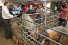 FEIRA NACIONAL DE AGRICULTURA BATE RECORDE DE EXPOSITORES MAS ATRAI MENOS PÚBLICO