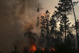 INCÊNDIO NO CONCELHO DE NISA COMBATIDO POR 186 BOMBEIROS E TRÊS MEIOS AÉREOS