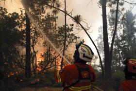 MAIS DE 300 BOMBEIROS COMBATEM DOIS INCÊNDIOS EM VISEU E AVEIRO