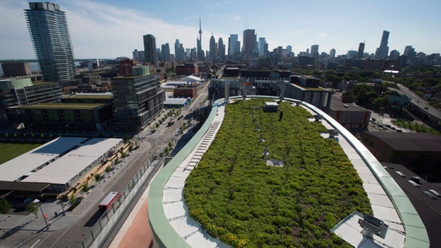 Telhados verdes na aldeia dos atletas Pan Am é mostrada em Toronto – 19 de junho, 2015. (Frank Gunn/The Canadian Press)