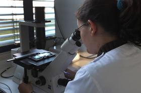 CONSTITUIÇÃO DO CENTRO MÉDICO UNIVERSITÁRIO DE LISBOA FORMALIZADA HOJE