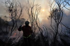 INCÊNDIOS: DOIS BOMBEIROS FERIDOS NO COMBATE ÀS CHAMAS NO DOURO INTERNACIONAL