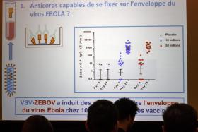 ÉBOLA: CABO VERDE ESTÁ NUMA SITUAÇÃO DE “VIGILÂNCIA ATENTA” – GOVERNO