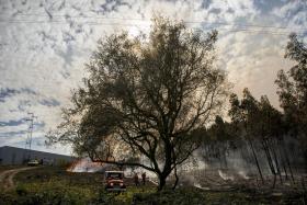 INCÊNDIO EM MATO EM VILA VERDE, BRAGA, DADO COMO DOMINADO – PROTEÇÃO CIVIL