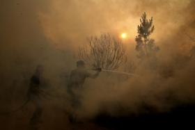 INCÊNCIOS: MAIS DE 300 OPERACIONAIS COMBATEM FOGO EM TOMAR