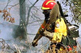 INCÊNDIO EM IDANHA-A-NOVA MOBILIZA 185 OPERACIONAIS E TRÊS MEIOS AÉREOS