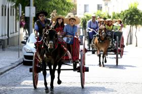 CAMPO MAIOR LANÇA PASSEIOS TURÍSTICOS EM CARROÇAS PARA MOSTRAR PATRIMÓNIO