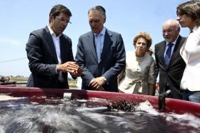 PRESIDENTE DA REPÚBLICA APELA A MAIOR INVESTIMENTO NA AQUACULTURA