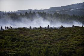 INCÊNDIOS: 80% DO FOGO NO CONCELHO DE CASCAIS DOMINADO – PROTEÇÃO CIVIL