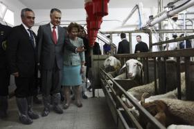 CAVACO SILVA AFIRMA-SE “BASTANTE CONFIANTE” COM O FUTURO POR NOTAR “NOVO CLIMA”