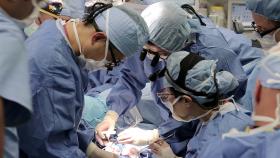 ORDEM DOS MÉDICOS APELA A FUTURO GOVERNO QUE REVEJA O NOVO REGULAMENTO DO INTERNATO