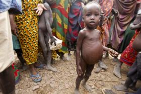 PAÍSES DA ÁFRICA AUSTRAL REUNIDOS PARA DISCUTIR CRISE ALIMENTAR