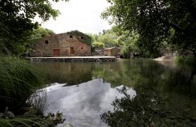 SETE PRAIAS FLUVIAIS FECHADAS NO DISTRITO DE CASTELO BRANCO POR DIMINUIÇÃO DOS CAUDAIS