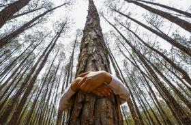 PROGRAMA PARA O AMBIENTE RECEBEU 38 CANDIDATURAS E JÁ APROVOU DUAS