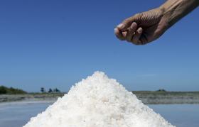 VERANEANTES PODEM COMPLEMENTAR PRAIA COM BANHO EM SALINA ALGARVIA