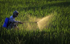 RETOMA DE EMBALAGENS USADAS DE FITOFARMACÊUTICOS AGRÍCOLAS FICA NOS 40%- VALORFITO