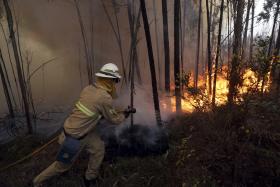 INCÊNDIOS: MEIOS AÉREOS ATIVOS ÀS 08:00 PARA COMBATE ÀS CHAMAS EM OLEIROS