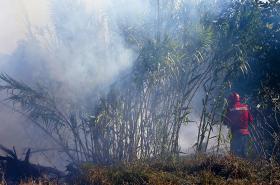 QUATRO BOMBEIROS FERIDOS EM FOGO EM FIGUEIRA DE CASTELO RODRIGO (GUARDA)