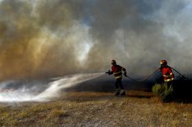 INCÊNDIO DE RIO MAIOR JÁ FOI DOMINADO PELOS BOMBEIROS