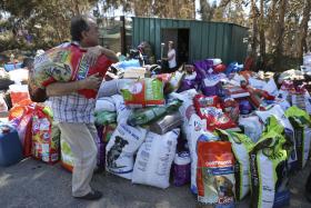 INCÊNDIOS: MORTE DE ANIMAIS EM CANIL DE LOURES PROVOCA ONDA DE SOLIDARIEDADE