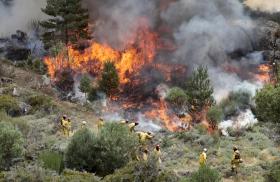 INCÊNDIOS: UM TOTAL DE 50 INCÊNDIOS REGISTADOS ATÉ ÀS 18:45 DE QUINTA-FEIRA