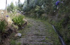 MADEIRA INICIA RECUPERAÇÃO DA ANTIGA REDE DE “CAMINHOS REAIS”