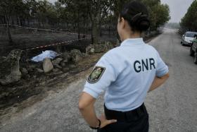 VÍTIMA MORTAL DE INCÊNDIO NO SABUGAL FOI APANHADA PELAS CHAMAS NUM CANAVIAL – AUTARCA