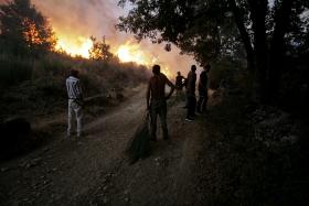 INCÊNDIOS: PJ DETEVE SUSPEITO DE ATEAR DOIS FOGOS EM VISEU