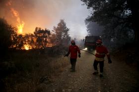 INCÊNDIOS: MAIS DE 600 OPERACIONAIS COMBATEM TRÊS FOGOS
