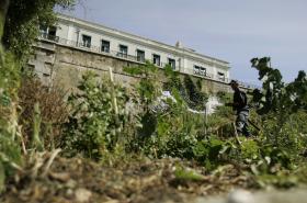 CABO VERDE E SÃO TOMÉ E PRÍNCIPE DEFINEM ÁREAS DE COOPERAÇÃO NA AGROPECUÁRIA
