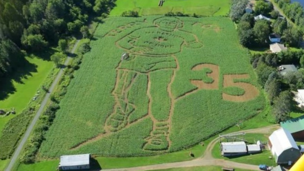 A Farmer Chip Hunter diz que o labirinto de milho da Maratona da Esperança de Terry Fox levou mais de um ano para ser preparado. (Apresentada por Hunter Brothers)