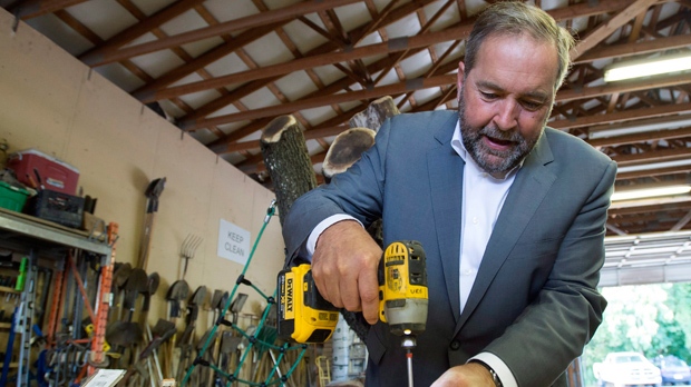 O líder do NDP Tom Mulcair monta um xilofone no Bienenstock Natural Playgrounds na Dundas, Ontário - 25 de agosto de 2015. The Canadian Press / Frank Gunn