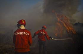 FOGO EM MATO NO CONCELHO DE SINTRA COMBATIDO 111 OPERACIONAIS