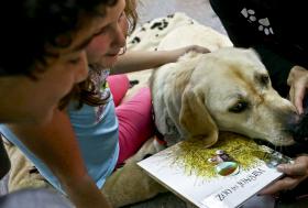 ARRANCA HOJE CAMPANHA DE RECOLHA DE RAÇÃO PARA ANIMAIS DE FAMILIAS EM RISCO