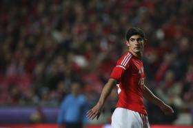 BENFICA “COMPLETAMENTE FOCADO” NA RECEÇÃO AO PAÇOS DE FERREIRA – GONÇALO GUEDES