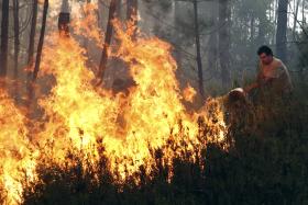 VINTE E OITO CONCELHOS DE 11 DISTRITOS ESTÃO HOJE SOB  RISCO MUITO ELEVADO DE INCÊNDIO