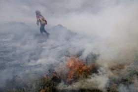 INCÊNDIO NA CHARNECA DA CAPARICA EM FASE DE RESCALDO – BOMBEIROS