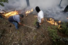 DEZ CONCELHOS DO CONTINENTE COM RISCO MUITO ELEVADO DE INCÊNDIO