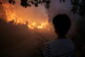 POLÍCIA JUDICIÁRIA DETÉM ALEGADO AUTOR DE 11 INCÊNDIOS FLORESTAIS EM PORTALEGRE