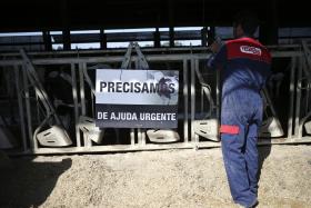 BRUXELAS ANUNCIA APOIO IMEDIATO A AGRICULTORES EUROPEUS NO VALOR DE 500ME