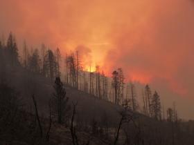 MILHARES DE PESSOAS FOGEM AOS INCÊNDIOS NA CALIFÓRNIA
