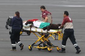 CORPOS DOS OITO TURISTAS MORTOS NO EGITO CHEGAM AO MÉXICO