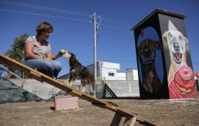 CÃO DÁ VIDA AO PROJETO “UIVO” E AJUDA A INCLUSÃO SOCIAL EM LEIRIA